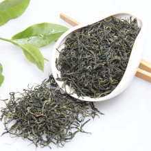 Maofeng Tea China supplier Organic China the vert Green Tea Natural